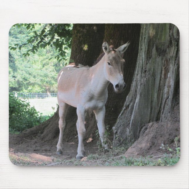 Alfombrilla De Ratón Burro pequeño (Frente)