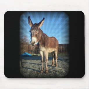 Alfombrilla De Ratón Burro soñoliento
