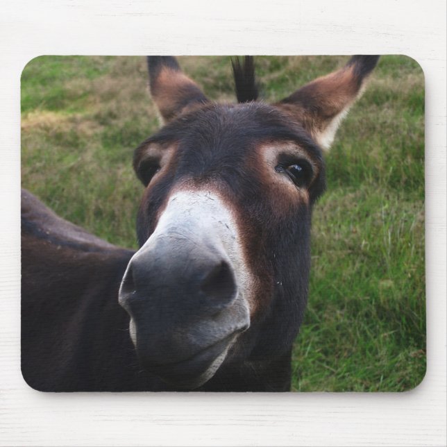 Alfombrilla De Ratón Burro sonriente Mousepad (Frente)