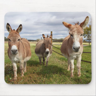 Alfombrilla De Ratón Burro tres