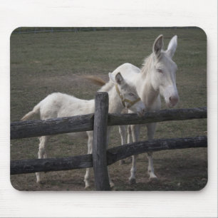 Alfombrilla De Ratón Burros blancos austriacos-húngaros
