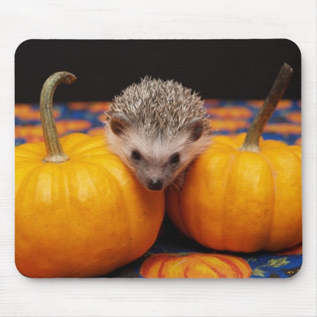 Alfombrilla De Ratón Buscar la gran calabaza (Frente)