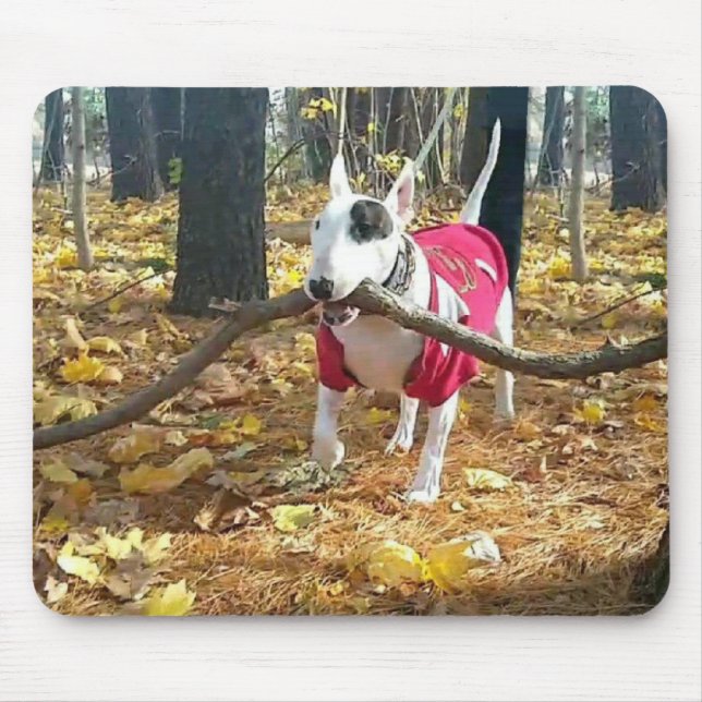 Alfombrilla De Ratón Busepad rex de otoño (Frente)