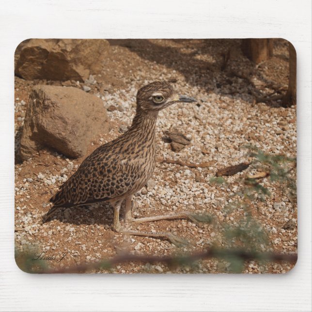 Alfombrilla De Ratón Bush Thick-Knee Mousepad (Frente)