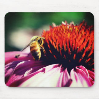 Alfombrilla De Ratón Busy Honey Bee Echinacea Flower