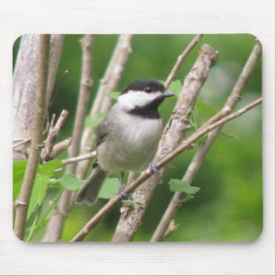 Alfombrilla De Ratón C. angelical Chickadee Mousepad