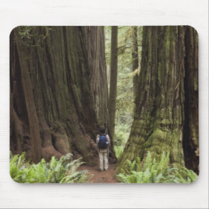 Alfombrilla De Ratón CA, Parque Estatal Redwoods Jedediah Smith,