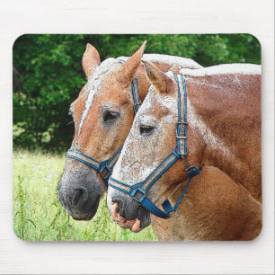 Alfombrilla De Ratón Caballo