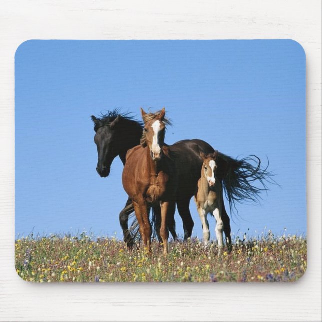 Alfombrilla De Ratón caballo (Frente)