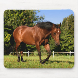 Alfombrilla De Ratón Caballo