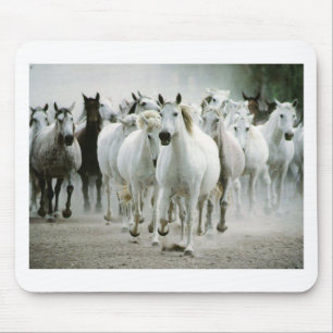 Alfombrilla De Ratón Caballo (1)