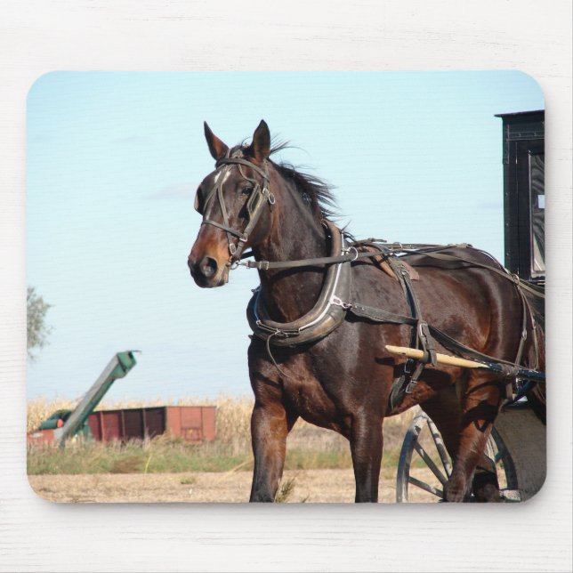 Alfombrilla De Ratón Caballo Amish rural y buggy (Frente)