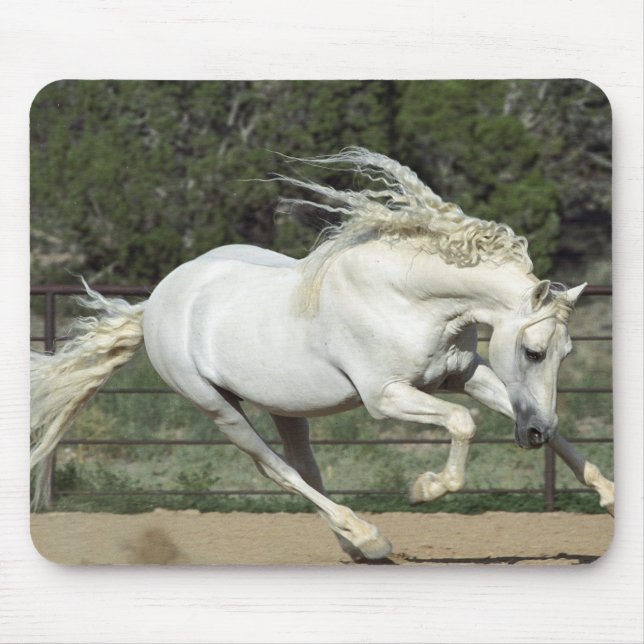 Alfombrilla De Ratón Caballo Andaluz corriendo, PR (Frente)