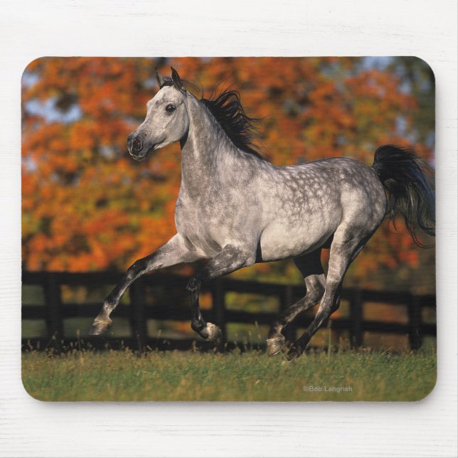 Alfombrilla De Ratón Caballo árabe: Otoño 1 (Frente)