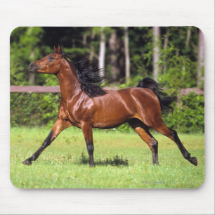 Alfombrilla De Ratón Caballo árabe que corre 2
