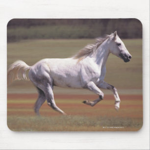 Alfombrilla De Ratón Caballo blanco que corre en campo