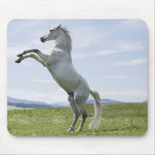 Alfombrilla De Ratón caballo blanco saltando en pradera