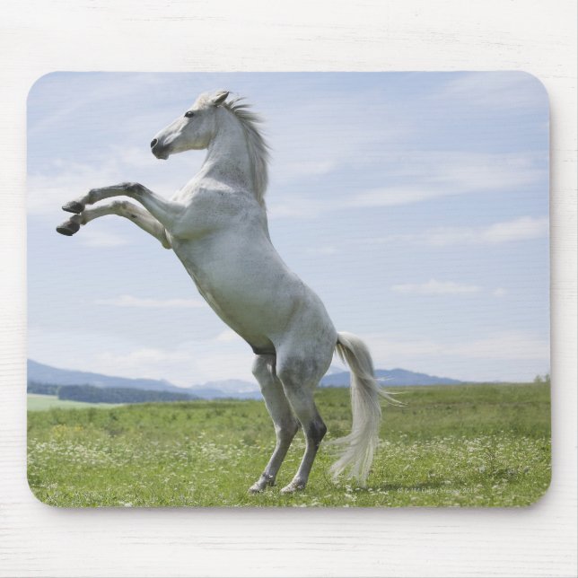 Alfombrilla De Ratón caballo blanco saltando en pradera (Frente)