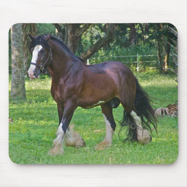 Alfombrilla De Ratón Caballo Clydesdale (Frente)