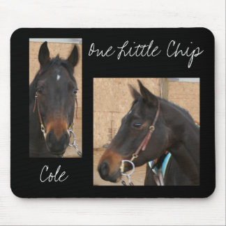Alfombrilla De Ratón Caballo cuarto Mousepad