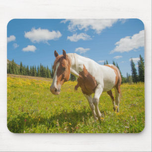 Alfombrilla De Ratón Caballo curioso en una pradera alpina en verano