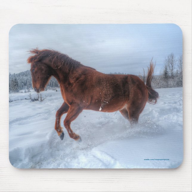 Alfombrilla De Ratón Caballo de acedera criándose en nieve de invierno (Frente)