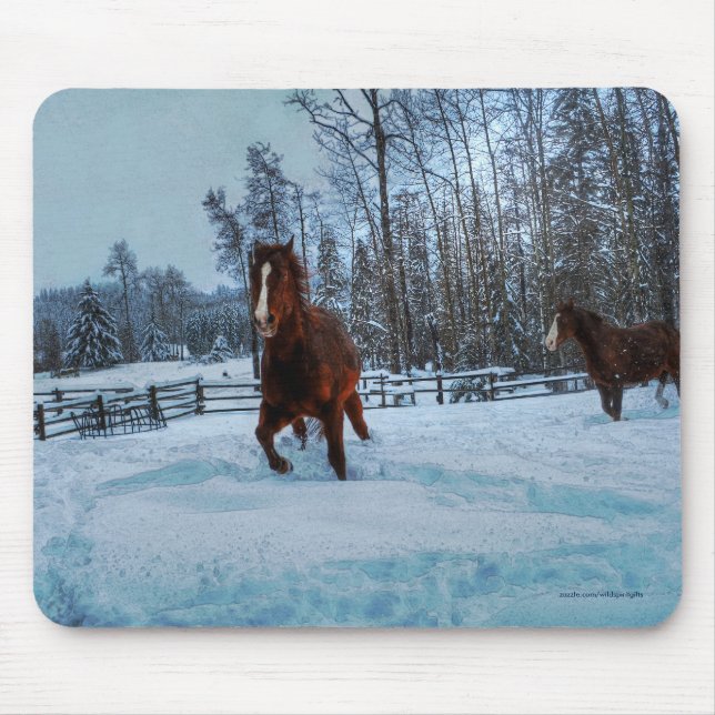 Alfombrilla De Ratón Caballo de acedera en nieve para los amantes del c (Frente)