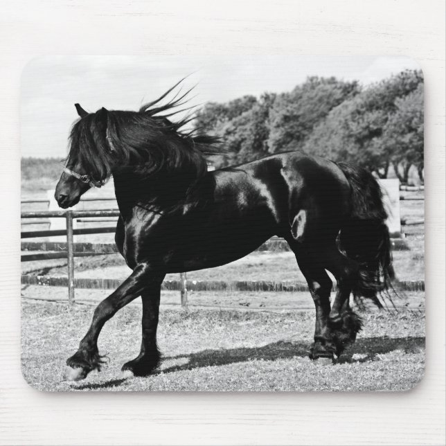 Alfombrilla De Ratón Caballo de belleza negra (Frente)