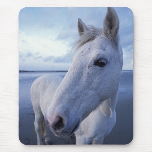 Alfombrilla De Ratón Caballo de Camargue (Frente)