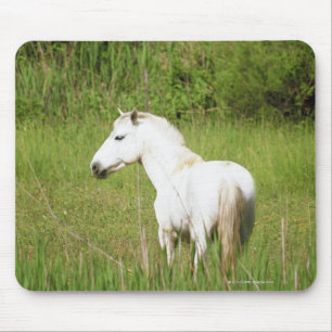 Alfombrilla De Ratón Caballo de Camargue en el Alpes Cote d'Azur del