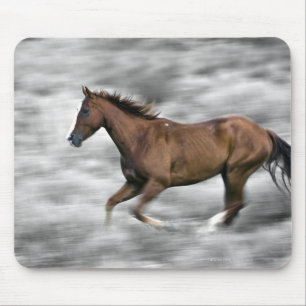 Alfombrilla De Ratón Caballo de carreras