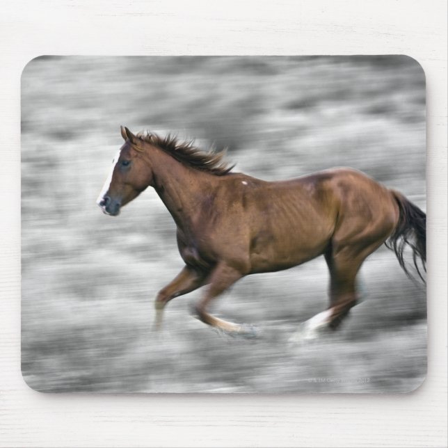 Alfombrilla De Ratón Caballo de carreras (Frente)
