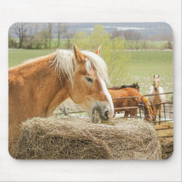 Alfombrilla De Ratón Caballo de granja masticando heno