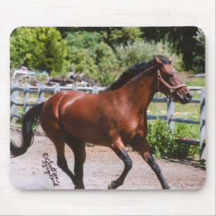 Alfombrilla De Ratón Caballo de Standardbred que galopa Mousepad