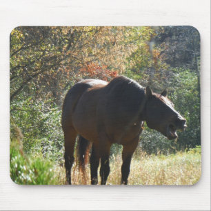 Alfombrilla De Ratón Caballo en otoño