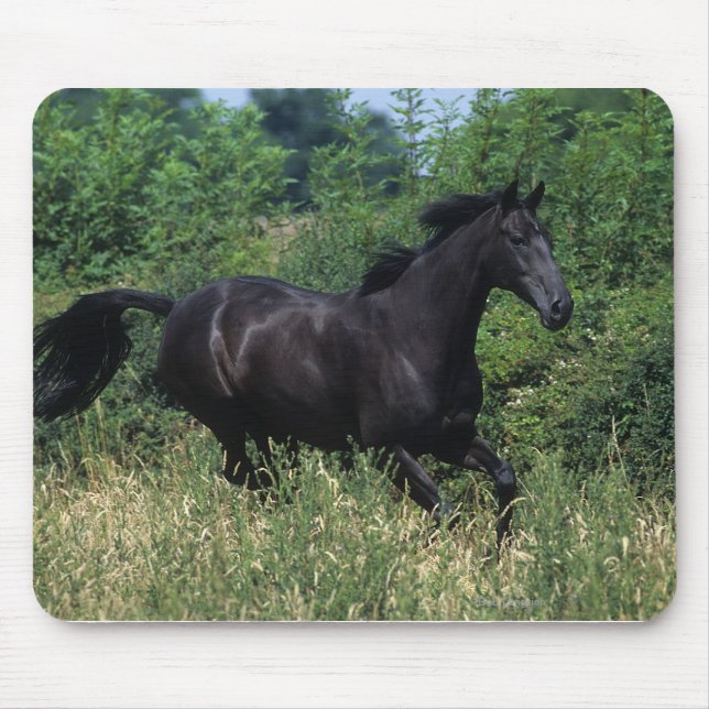 Alfombrilla De Ratón Caballo excelente que corre en hierba (Frente)