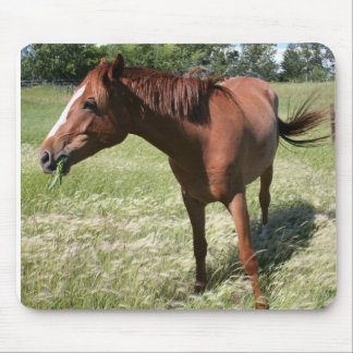Alfombrilla De Ratón Caballo feliz