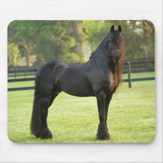 Alfombrilla De Ratón Caballo frisón negro