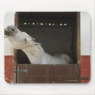 Alfombrilla De Ratón Caballo gris en un establo