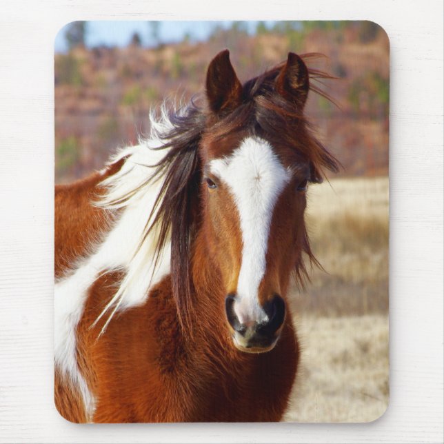 Alfombrilla De Ratón Caballo hermoso Mousepad de la pintura (Frente)