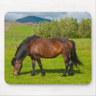 Alfombrilla De Ratón Caballo islandés de Mossfellsbaer