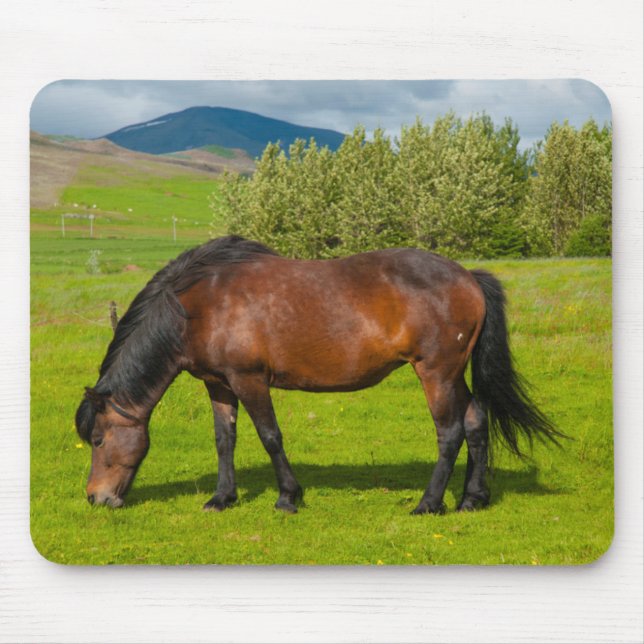 Alfombrilla De Ratón Caballo islandés de Mossfellsbaer (Frente)