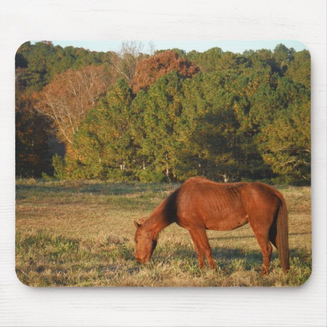 Alfombrilla De Ratón Caballo marrón con pinos (Frente)