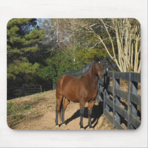 Alfombrilla De Ratón Caballo marrón contra una cerca