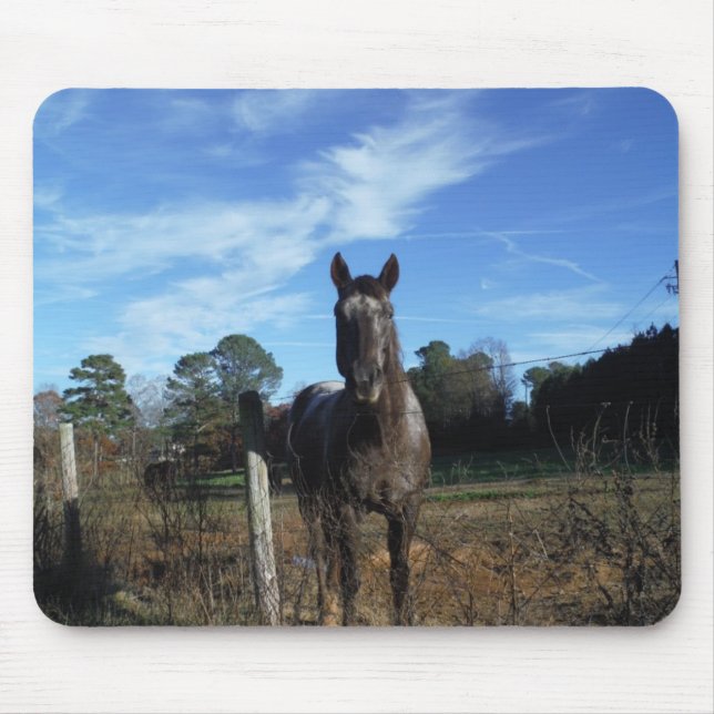 Alfombrilla De Ratón Caballo marrón de chocolate lechoso en azul (Frente)