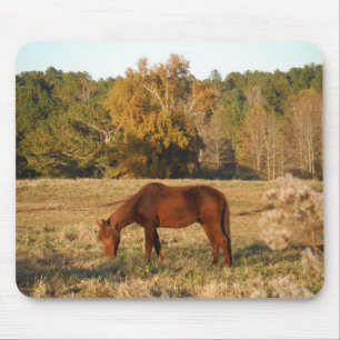 Alfombrilla De Ratón Caballo marrón en campo de árbol amarillo