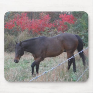 Alfombrilla De Ratón Caballo marrón en los árboles de otoño rojos