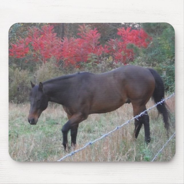 Alfombrilla De Ratón Caballo marrón en los árboles de otoño rojos (Frente)