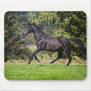 Alfombrilla De Ratón caballo marrón que corre en prado