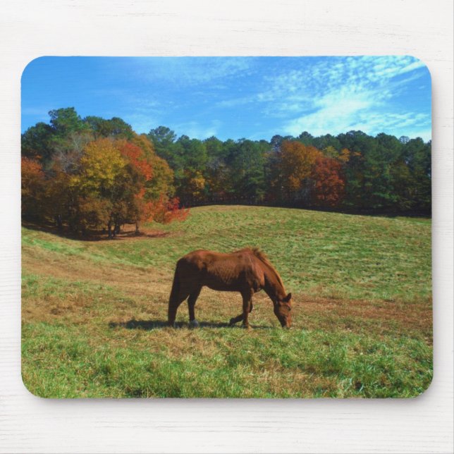 Alfombrilla De Ratón Caballo marrón rojo, árboles caídos, cielos azules (Frente)